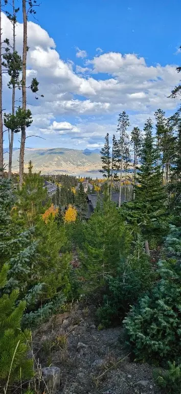 10 Stephanies Way, Silverthorne, CO 80498