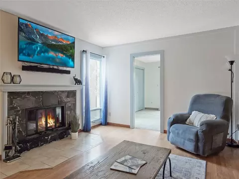 3471 Ryan Gulch Rd #3471, Silverthorne, CO 80498