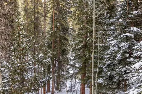 280 Trailhead Dr #3017, Keystone, CO 80435 photo 27