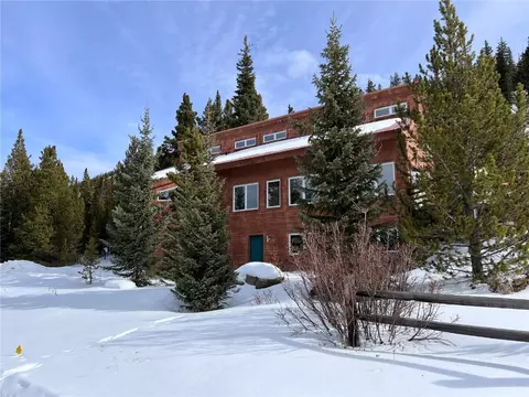 172 Red Fox Ct, Blue River, CO 80424