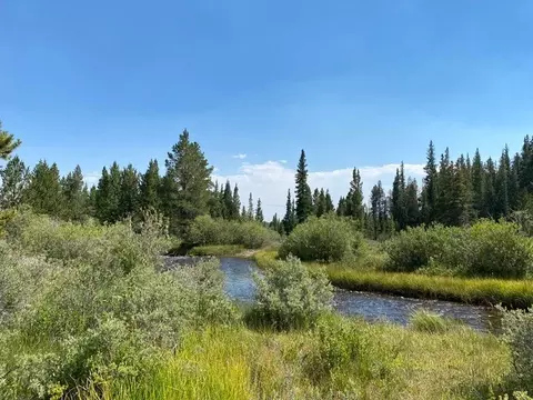 Tbd Pcr 12, Alma, CO 80420