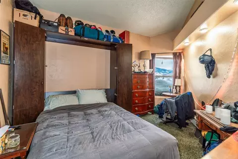 2425 Ryan Gulch Ct #2425, Silverthorne, CO 80498 photo 19