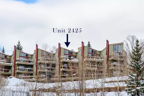 2425 Ryan Gulch Ct #2425, Silverthorne, CO 80498 photo 2