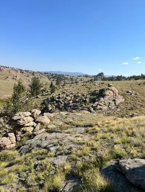 923 Mustang Ln, Como, CO 80456 photo 13