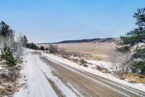 3150 Redhill Rd, Fairplay, CO 80440