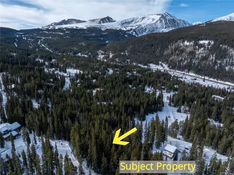 1034 Range Rd, Blue River, CO 80424