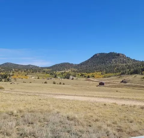 21 Capbox Way, Como, CO 80432 photo 27