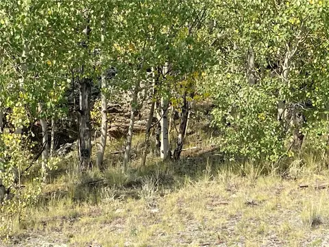 21 Capbox Way, Como, CO 80432 photo 12