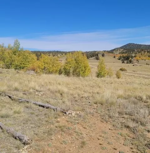 21 Capbox Way, Como, CO 80432 photo 24