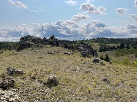 21 Capbox Way, Como, CO 80432 photo 10