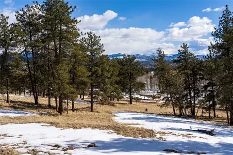 81 Box Canyon Dr, Florissant, CO 80816