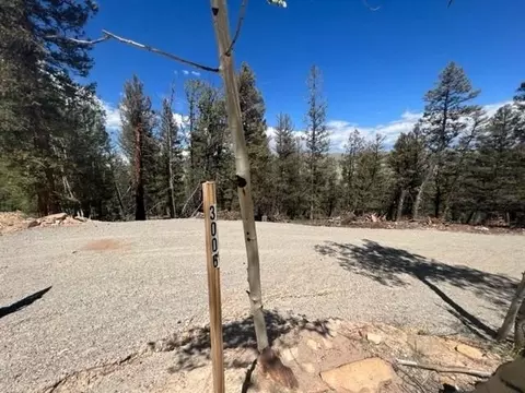 3006 Middle Fork Vis, Fairplay, CO 80440