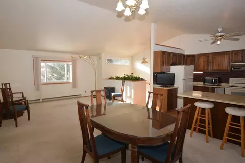 1174 Straight Creek Dr, Dillon, CO 80435