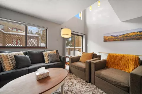 6715 Ryan Gulch Rd #6715, Silverthorne, CO 80498