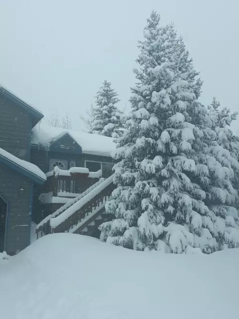 Other - 1131 Rainbow Dr, Silverthorne, CO 80498 photo 1 of 2