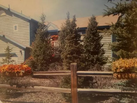 Other - 1131 Rainbow Dr, Silverthorne, CO 80498 photo 2 of 2