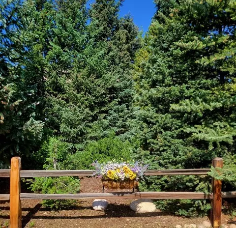 Exterior - 1131 Rainbow Dr, Silverthorne, CO 80498 photo 5 of 5