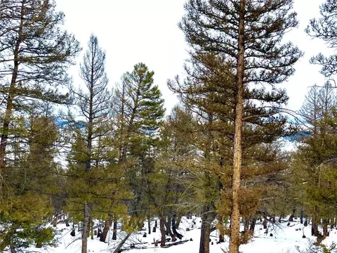 2444 Middle Fork Vis, Fairplay, CO 80440