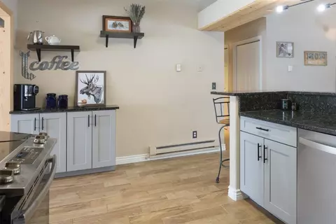 132 Sunlight Dr, Dillon, CO 80435 photo 8