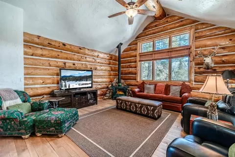 Living - 95 Aster Ct, Keystone, CO 80435 photo 5 of 8