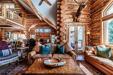 Living - 95 Aster Ct, Keystone, CO 80435 photo 4 of 8