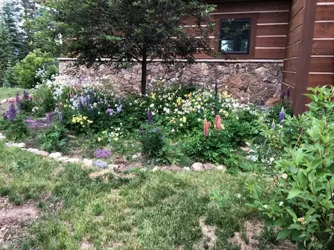 Exterior - 25925 Red Cloud Ln, Clark, CO 80428 photo 12 of 13