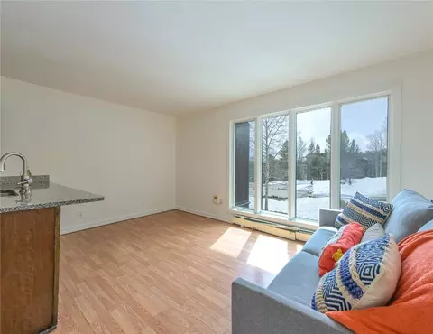 3622 Ryan Gulch Rd #3622, Silverthorne, CO 80498