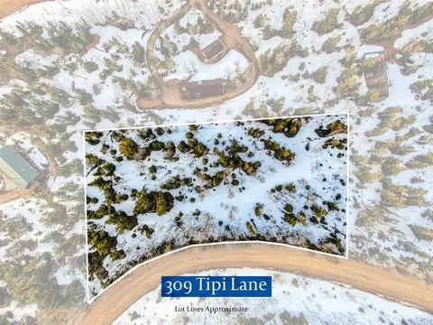 309 Tipi Ln, Como, CO 80432 photo 7