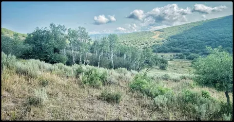 30025 County Road 179, Oak Creek, CO 80467