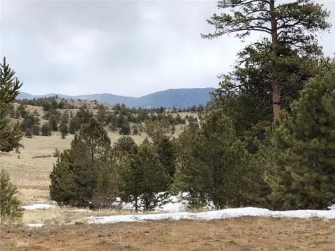 133 Joyce Ln, Hartsel, CO 80449