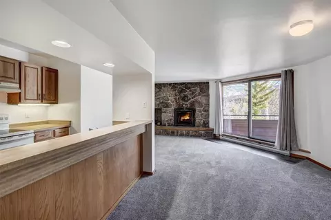 210 E La Bonte St #136, Dillon, CO 80435