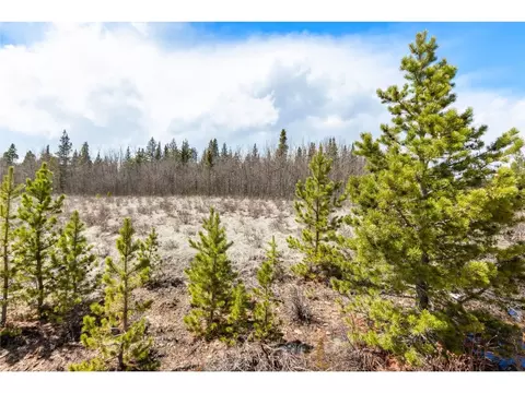 515 Wild Rye Rd, Fairplay, CO 80440