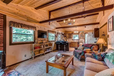 Living - 249 Mcdowell Dr, Como, CO 80456 photo 4 of 4