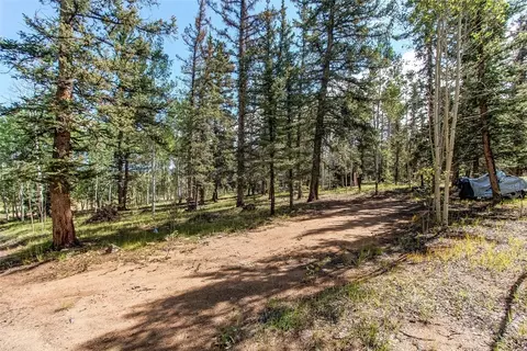 Exterior - 249 Mcdowell Dr, Como, CO 80456 photo 9 of 10