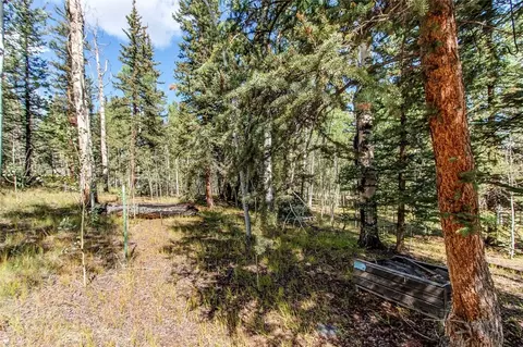 Exterior - 249 Mcdowell Dr, Como, CO 80456 photo 10 of 10