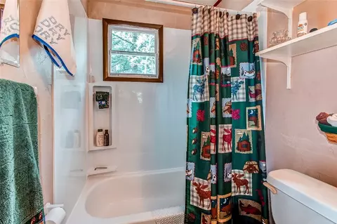 Bath - 249 Mcdowell Dr, Como, CO 80456 photo 1 of 2