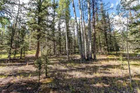 View/Area - 249 Mcdowell Dr, Como, CO 80456 photo 3 of 3