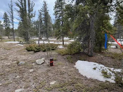 Busch Run Platte Drive, Fairplay, CO 80440