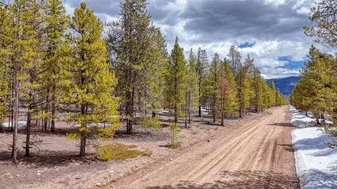 0 Birch Dr, Twin Lakes, CO 81251