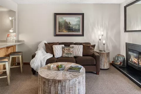 88 Guller Rd #206, Copper Mountain, CO 80443 photo 4