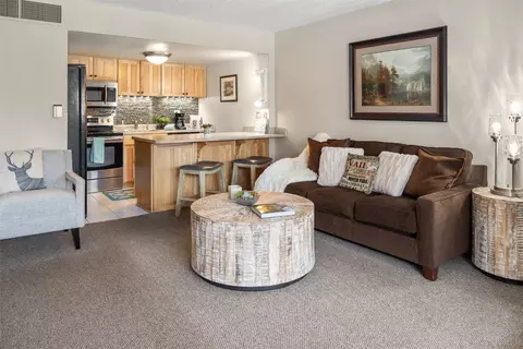 88 Guller Rd #206, Copper Mountain, CO 80443 photo 3