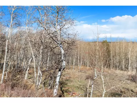 198 Lumber Jack Rd, Fairplay, CO 80440