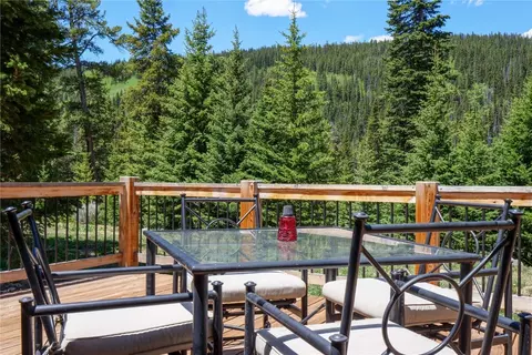 283 Range Rd #3, Blue River, CO 80424