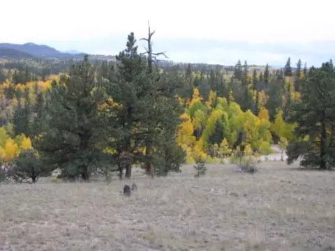 763 Tepee Trl, Como, CO 80456 photo 11