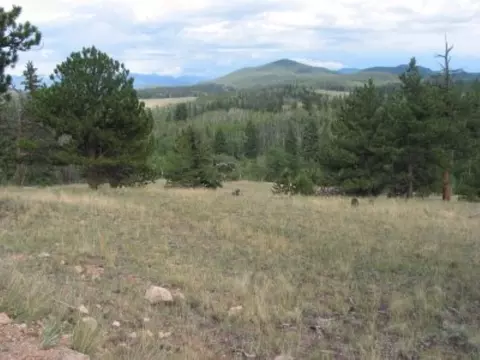 763 Tepee Trl, Como, CO 80456 photo 5