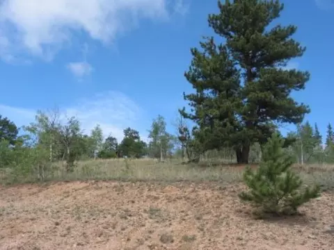 763 Tepee Trl, Como, CO 80456 photo 6