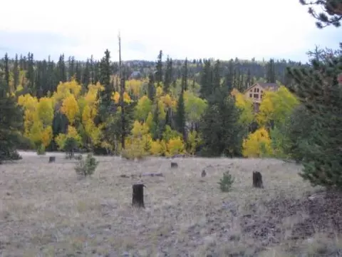 763 Tepee Trl, Como, CO 80456 photo 10