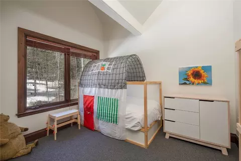 525 Two Cabins Dr, Silverthorne, CO 80498 photo 28