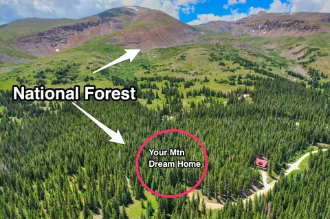 000 Nugget Rd, Alma, CO 80420