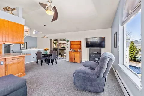 654 Alpine Rd, Dillon, CO 80435 photo 10